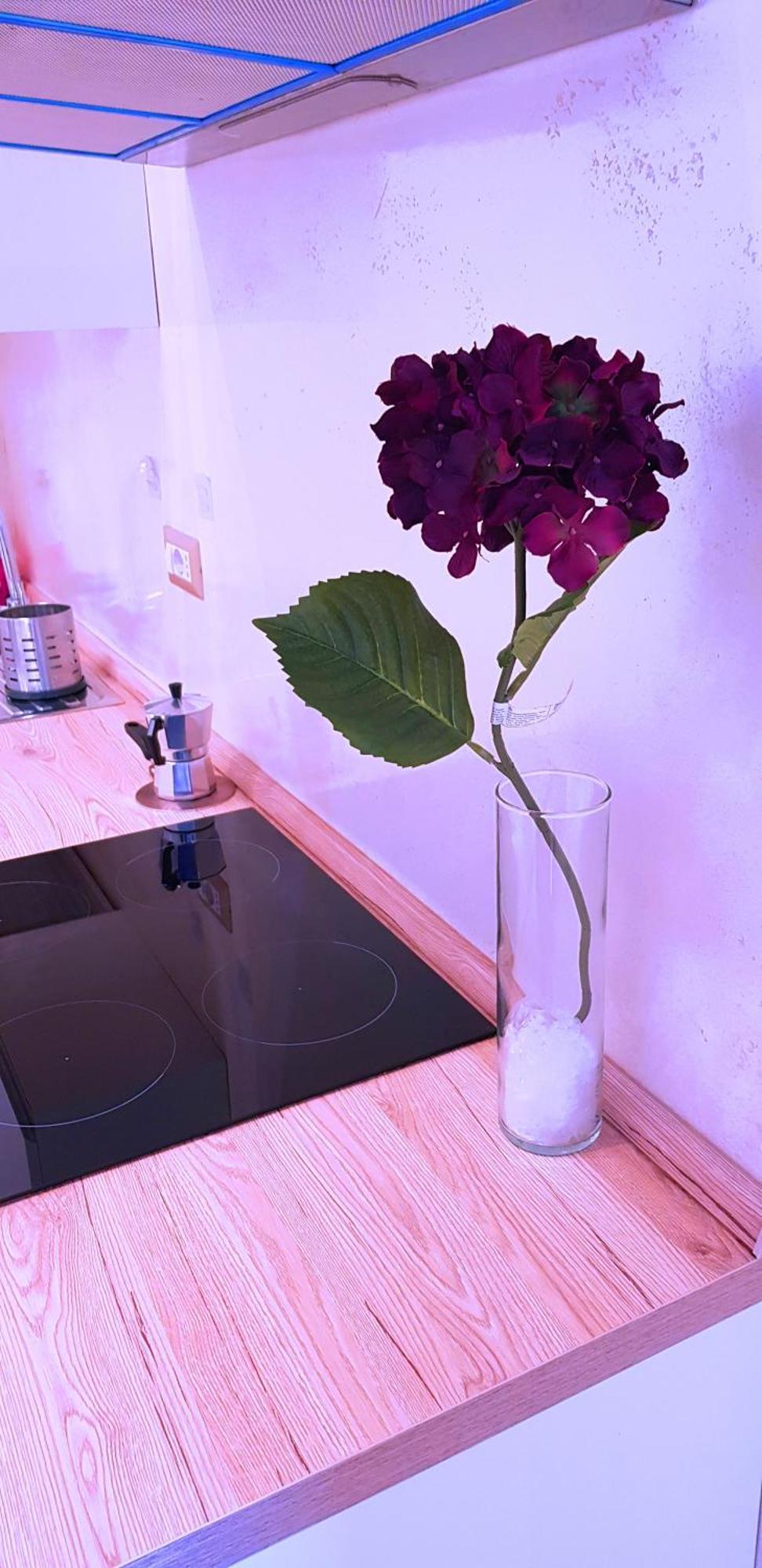 Green Oasis Roma Dış mekan fotoğraf