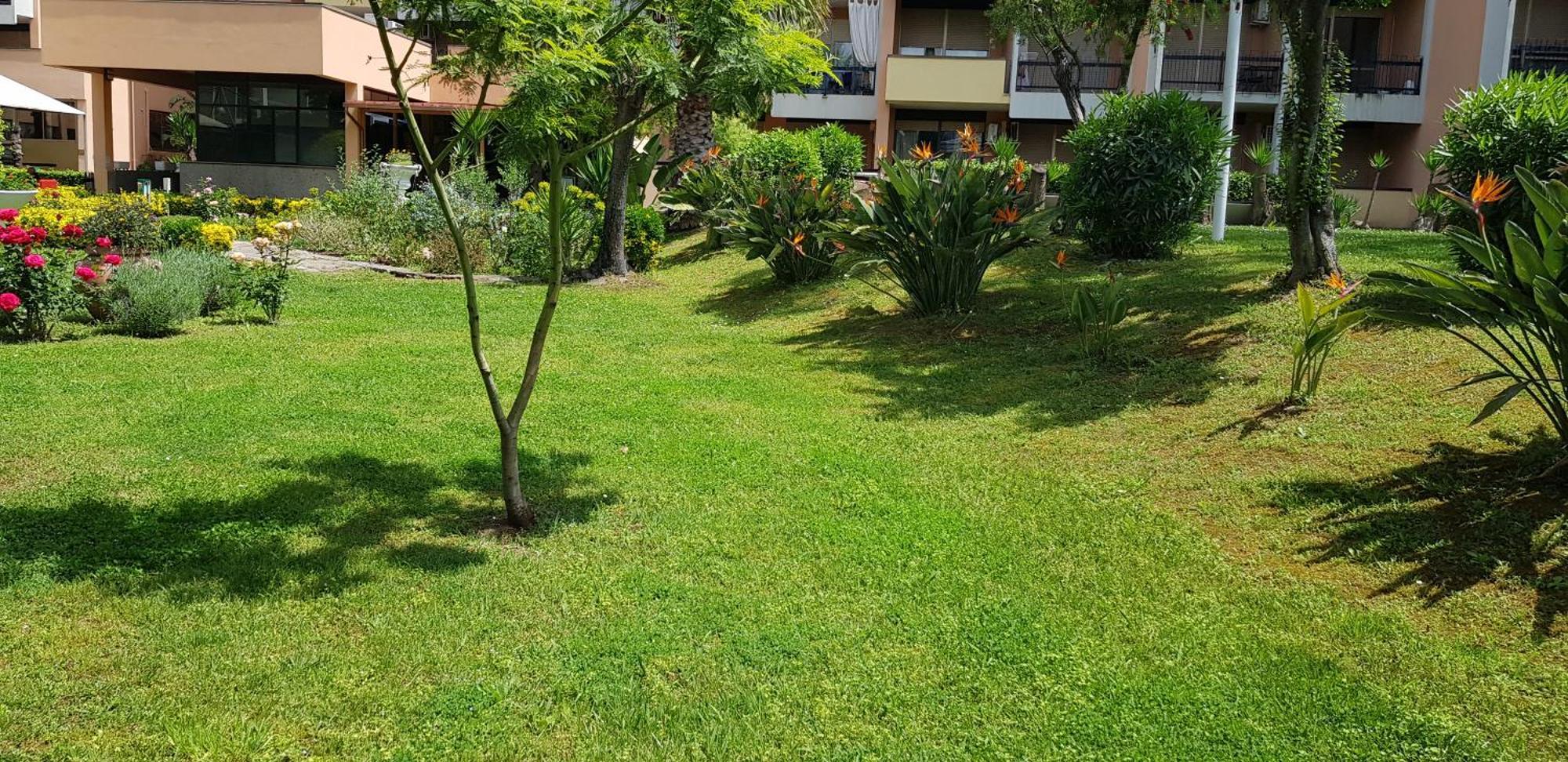 Green Oasis Roma Dış mekan fotoğraf